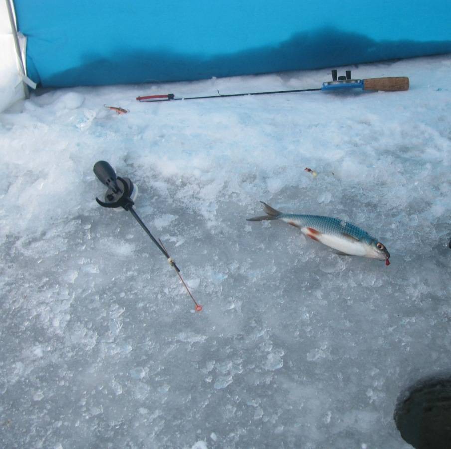 Как оснастить удочку для зимней рыбалки