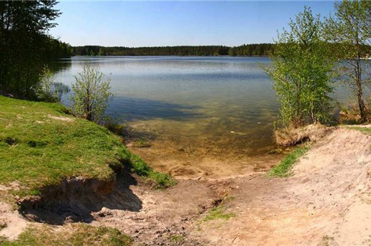 Озеро белое в шатурском районе: санаторий, цены 2020, сайт, погода, отзывы – туристер.ру