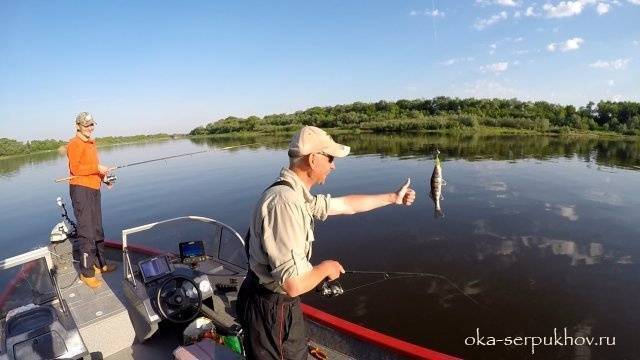 Река нара московской области: особенности рыбалки, какая рыба водится