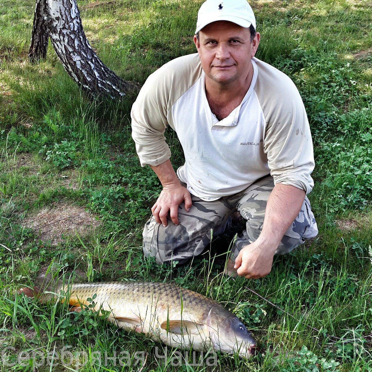 Рыбалка в белгороде и области: на реке оскол и северский донец