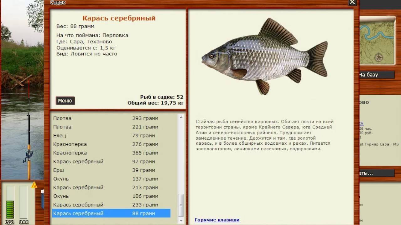 Рыбалка в псковской области: лучшие места на карте топ-10