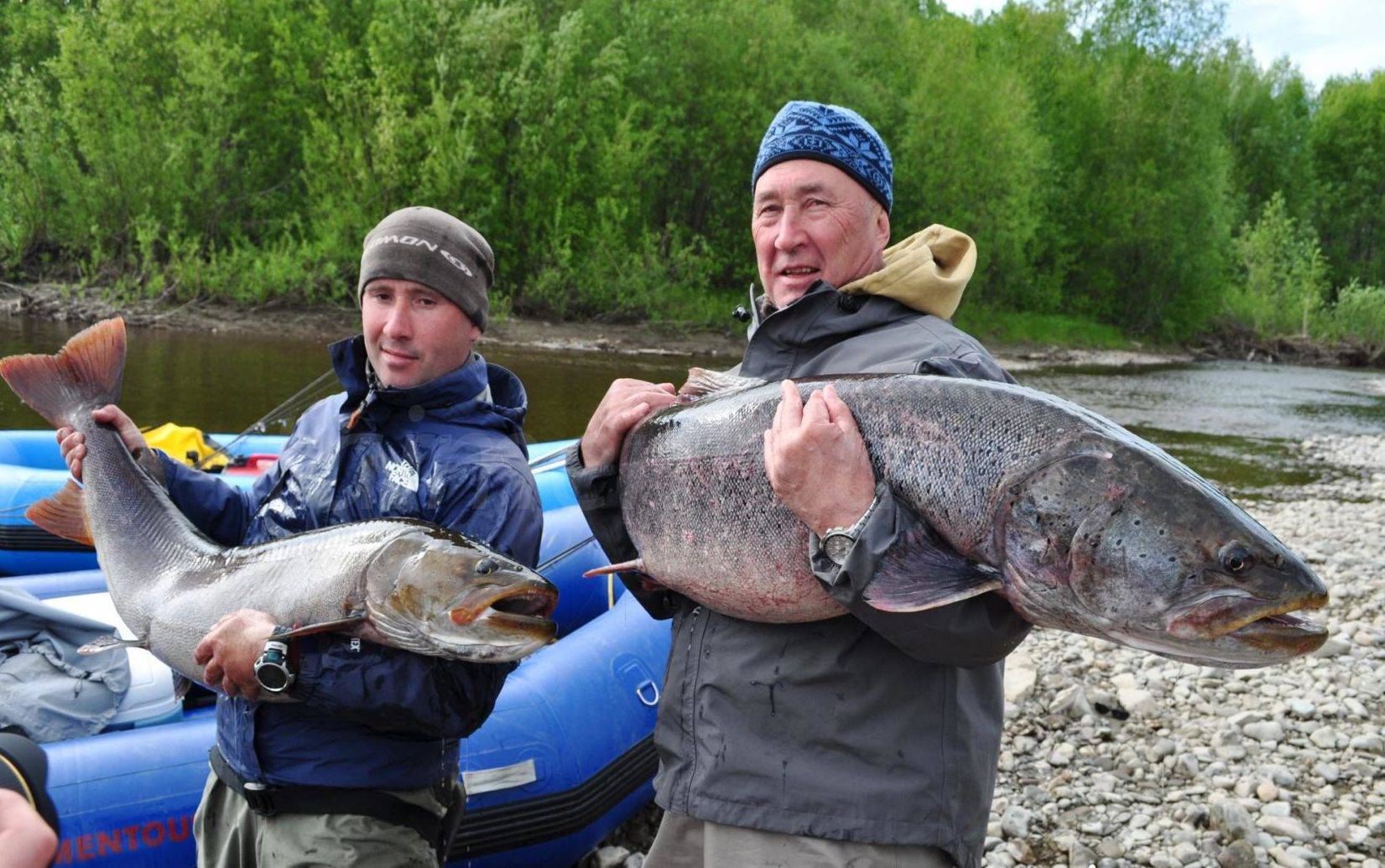 Платная рыбалка в сахалинской области: рыболовные туры, охотничьи базы и водоемы сахалина