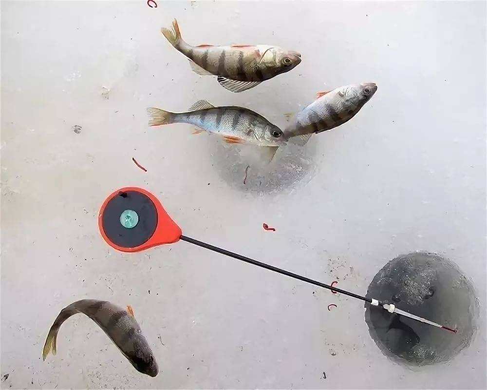 Пять простых, но эффективных способа, как моментально отсечь мелочь на рыбалке и ловить только крупную рыбу