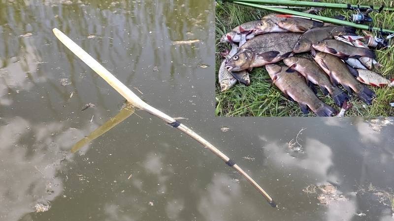 Рыбалка на линя весной - ловля на удочку и фидер, особенности