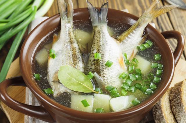 Как варить уху дома из речной рыбы, рецепты приготовления в домашних условиях