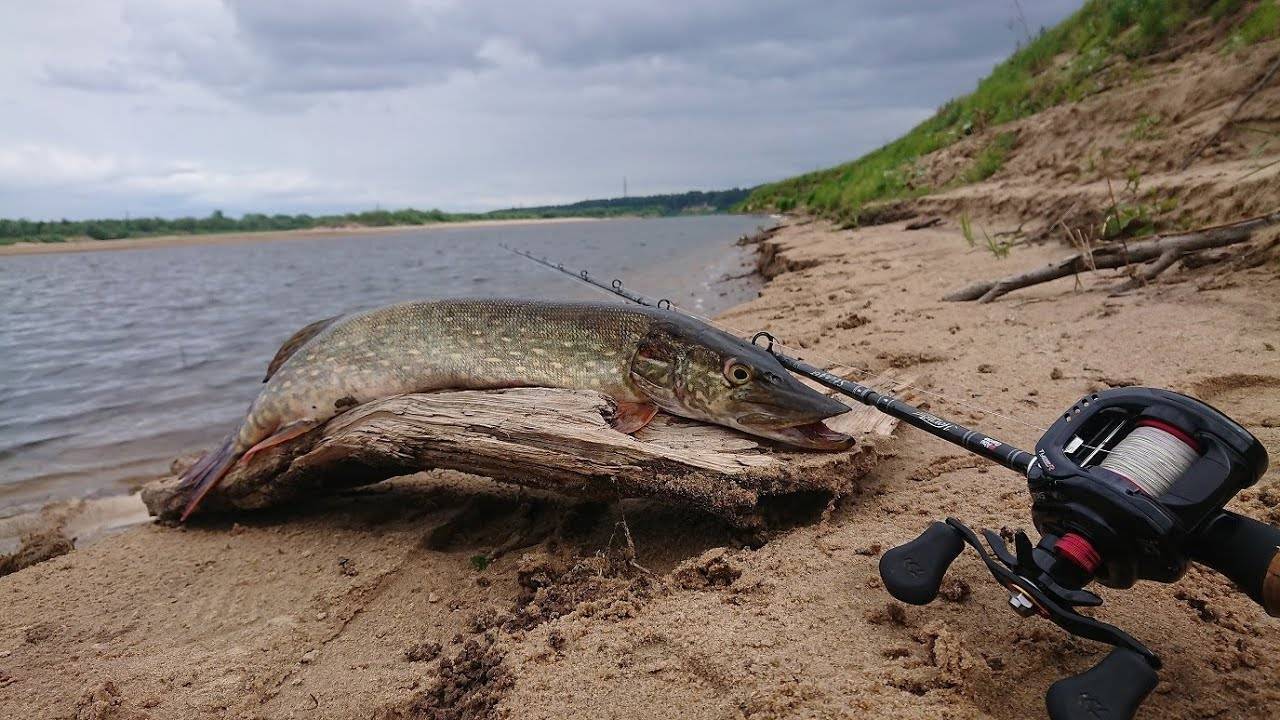 Рыбалка на реке северная двина