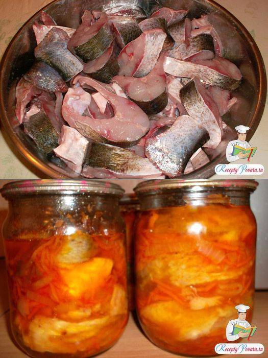 Рыба в автоклаве в домашних условиях. рецепты приготовления в томате, собственном соку, масле