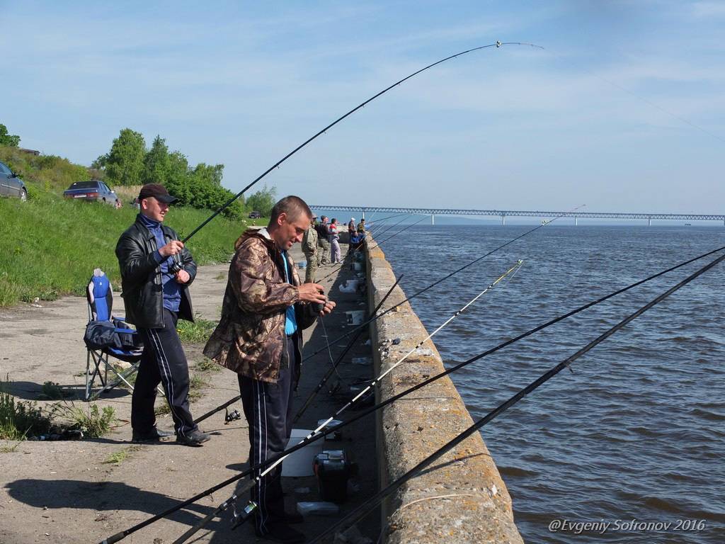 Рыбалка на волге в астраханской области: секретные места и полезные советы | рыбная ловля на волге