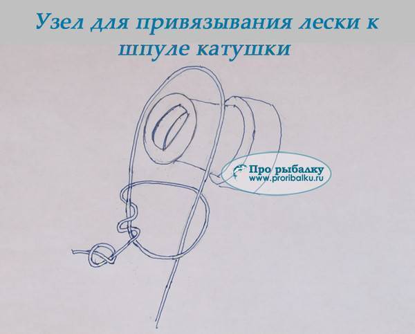 Как намотать леску на катушку триммера - подробная инструкция -2020- википедия - instrument-wiki.ru