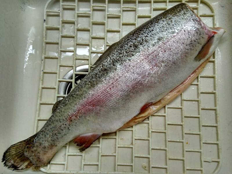 Форель: рыба форель фото и описание, нерест, способы ловли, образ жизни, приманки на форель, калорийность форели