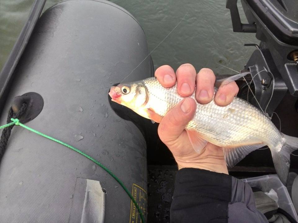 Оснастка зимней удочки: правильное оснащение снастей для рыбалки в стоячей воде и по течению