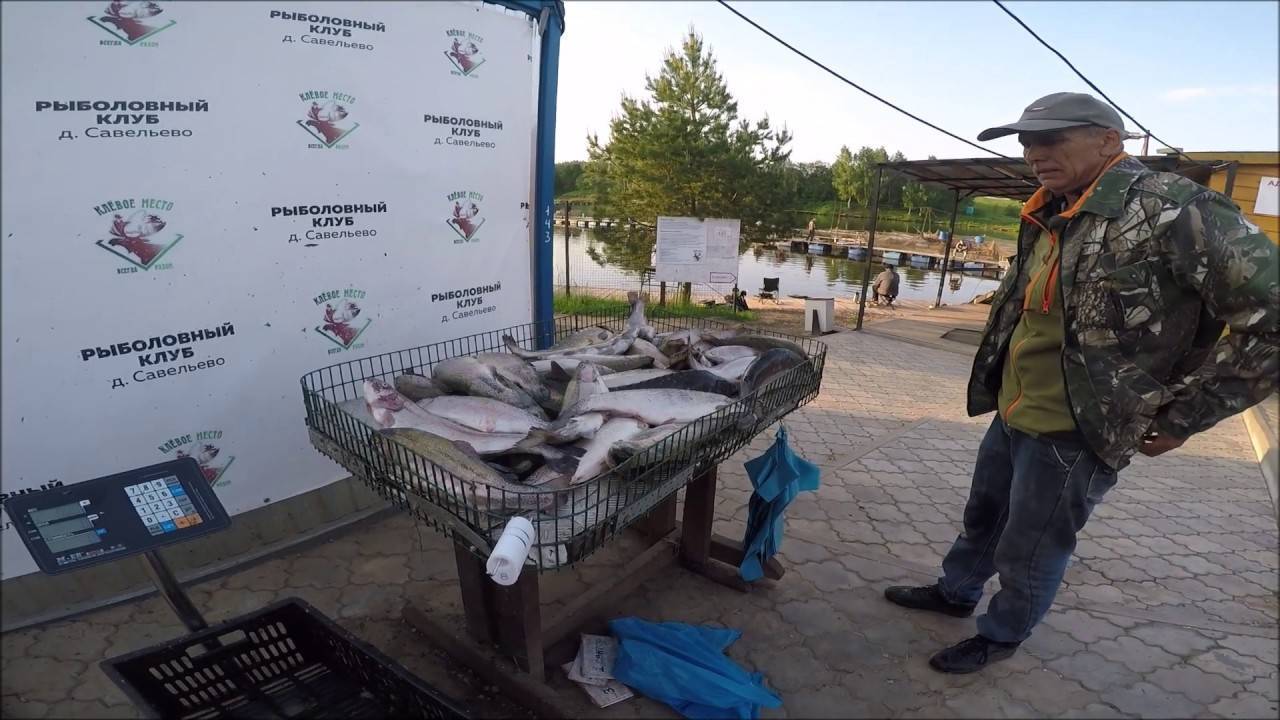 Рыбалка в «клёвом месте» на лосином острове, цены на услуги в рыболовном хозяйстве