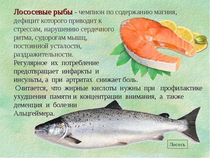 Рыба кета: полезные свойства, химический состав, сколько калорий, противопоказания