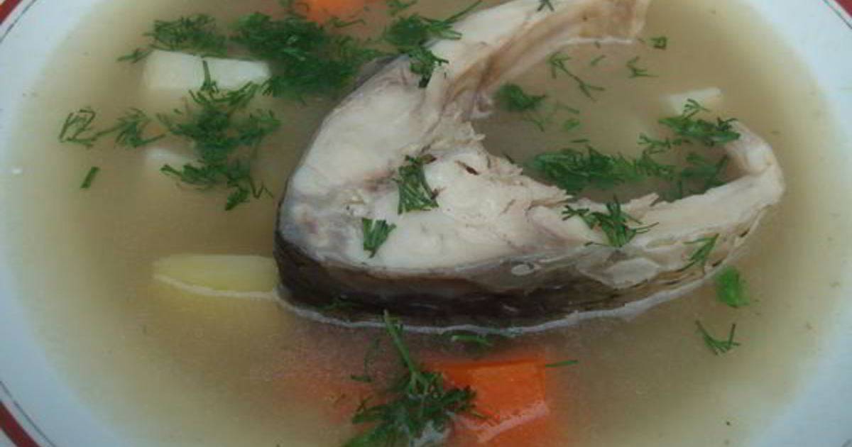 Уха из карпа: рецепты с фото пошагово, приготовление супа из головы дома | berlogakarelia.ru