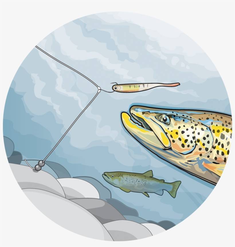 Рыбалка на спиннинг: техника ловли, ужение, вываживание, подсечка