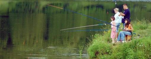 Рыбалка в челябинске и челябинской области: где ловить, на что лучше клюет