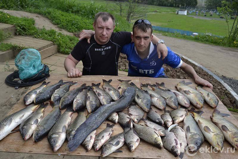 Рыбалка в московской области. отчеты рыбаков, форум