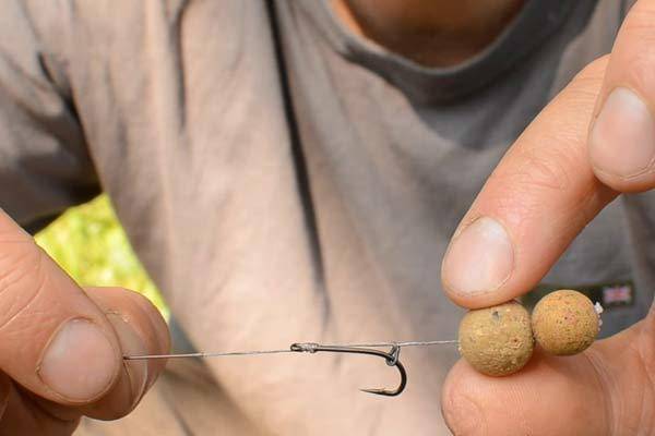Как приготовить бойлы на сома и как ловить рыбу