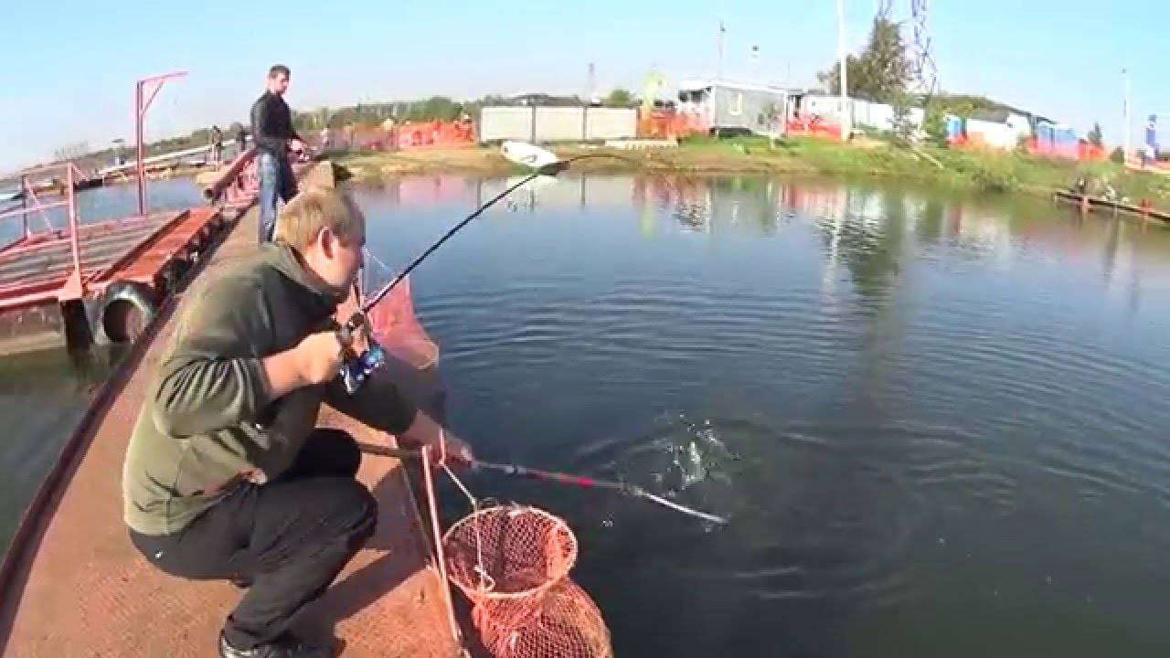 Рыбалка в бисерово - официальный сайт, цена и отзывы