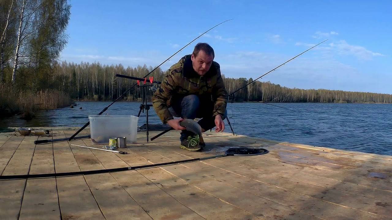 Рыбалка в клинском рыбхозе московской области, особенности: водоемы, отзывы рыбаков