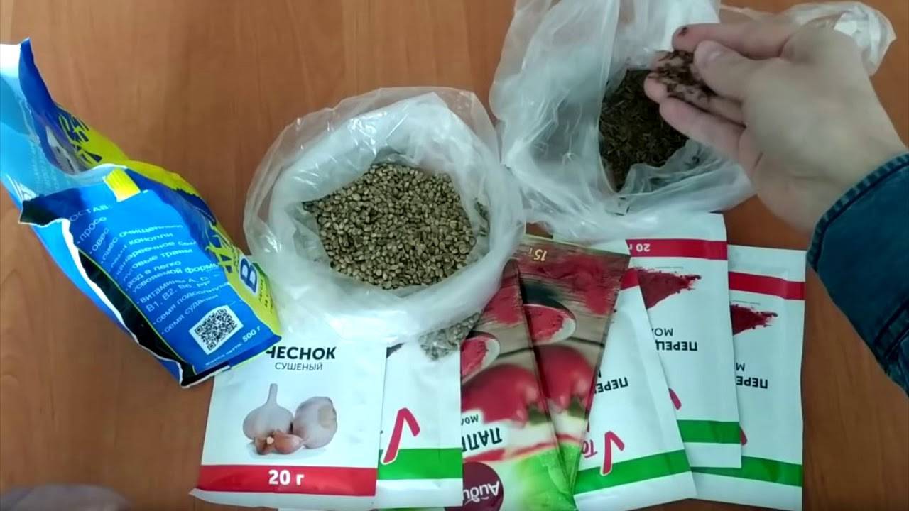 Использование активатора клева для зимней рыбалки. активатор клева для зимней рыбалки: обзор лучших моделей и отзывы о производителях :: syl.ru
