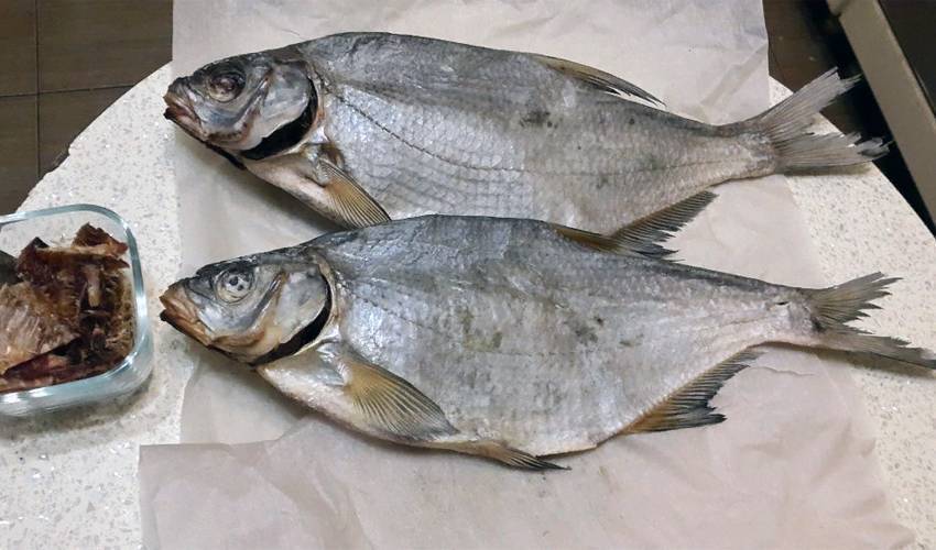 Как хранить вяленую и сушеную рыбу: условия, сроки и способы