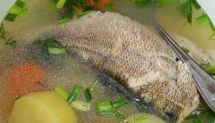 Как правильно варить рыбу?