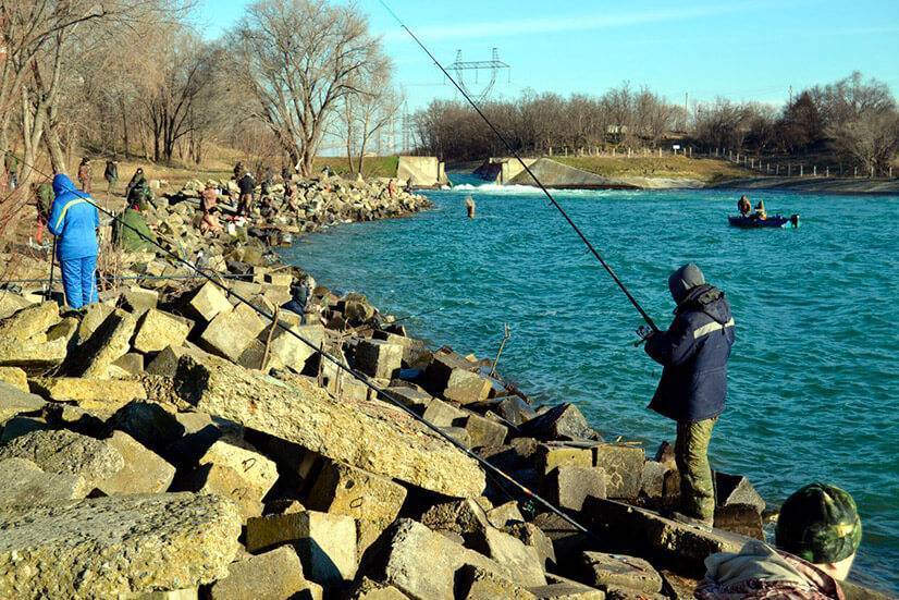 Платная рыбалка в ставропольском крае: водохранилище, правоегорлыкский канал и другие места лова