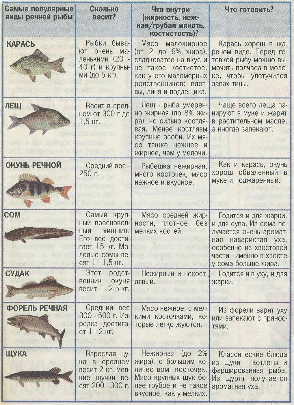 Рыбная диета для похудения на 10 кг — меню по дням и отзывы