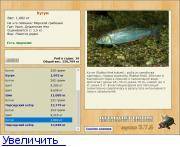 Ряпушка: описание рыбы, фото, обитание, виды, питание, нерест, ловля и выращивание