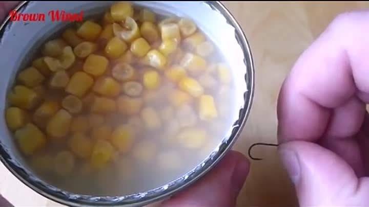 Как насадить кукурузу на крючок при ловле карпа и карася
