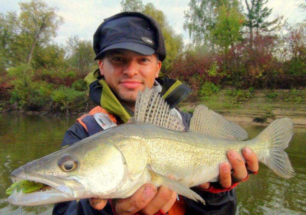 Рыбалка на сахалине: какая рыба водится и особенности ловли