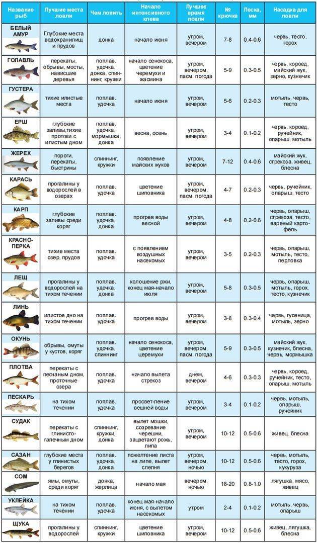 Рыболовные крючки и их размеры: обзор всех классификаций