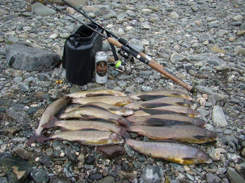 Места для рыбалки в ненецком автономном округе – платная и бесплатная рыбалка!