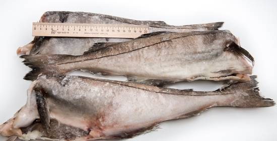 Рыба пикша: полезные свойства и вред | польза и вред