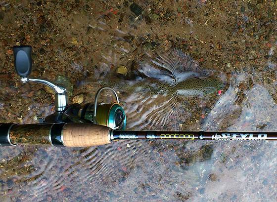 Правильный спиннинг для ловли форели — залог удачной рыбалки