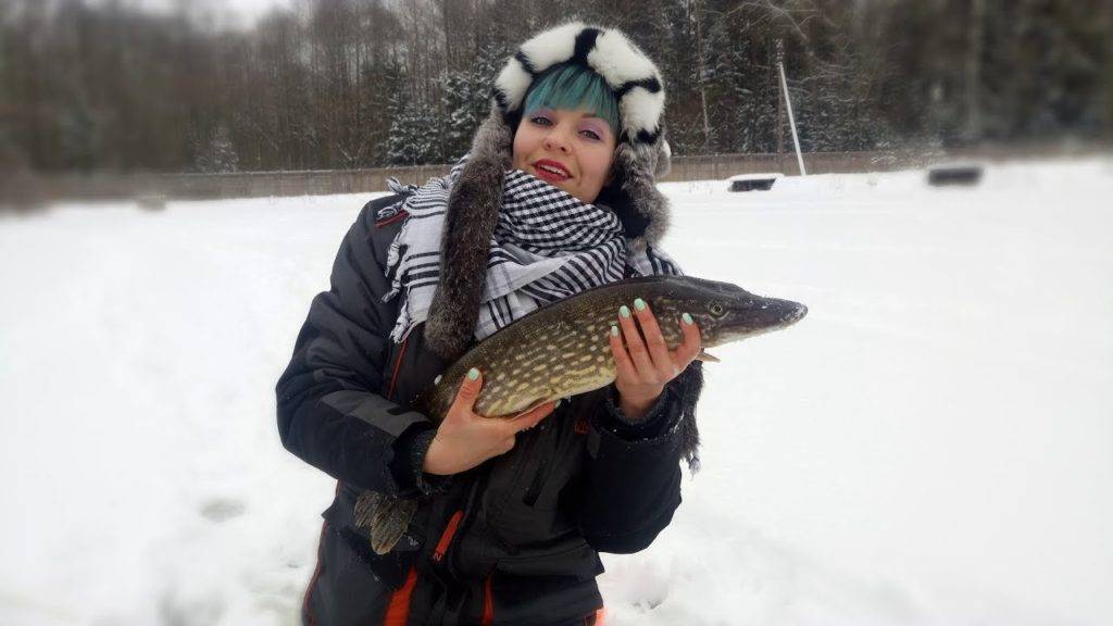 передача про рыбалку зимой