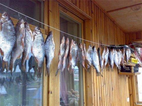 Как сушить рыбу в домашних условиях летом,зимой и осенью