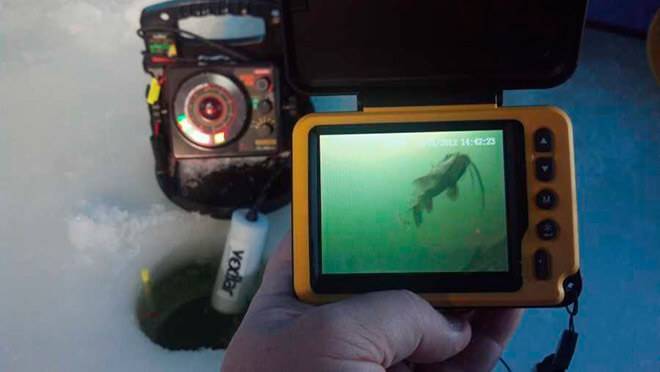 Подводная камера для зимней рыбалки — сделать самому или купить?