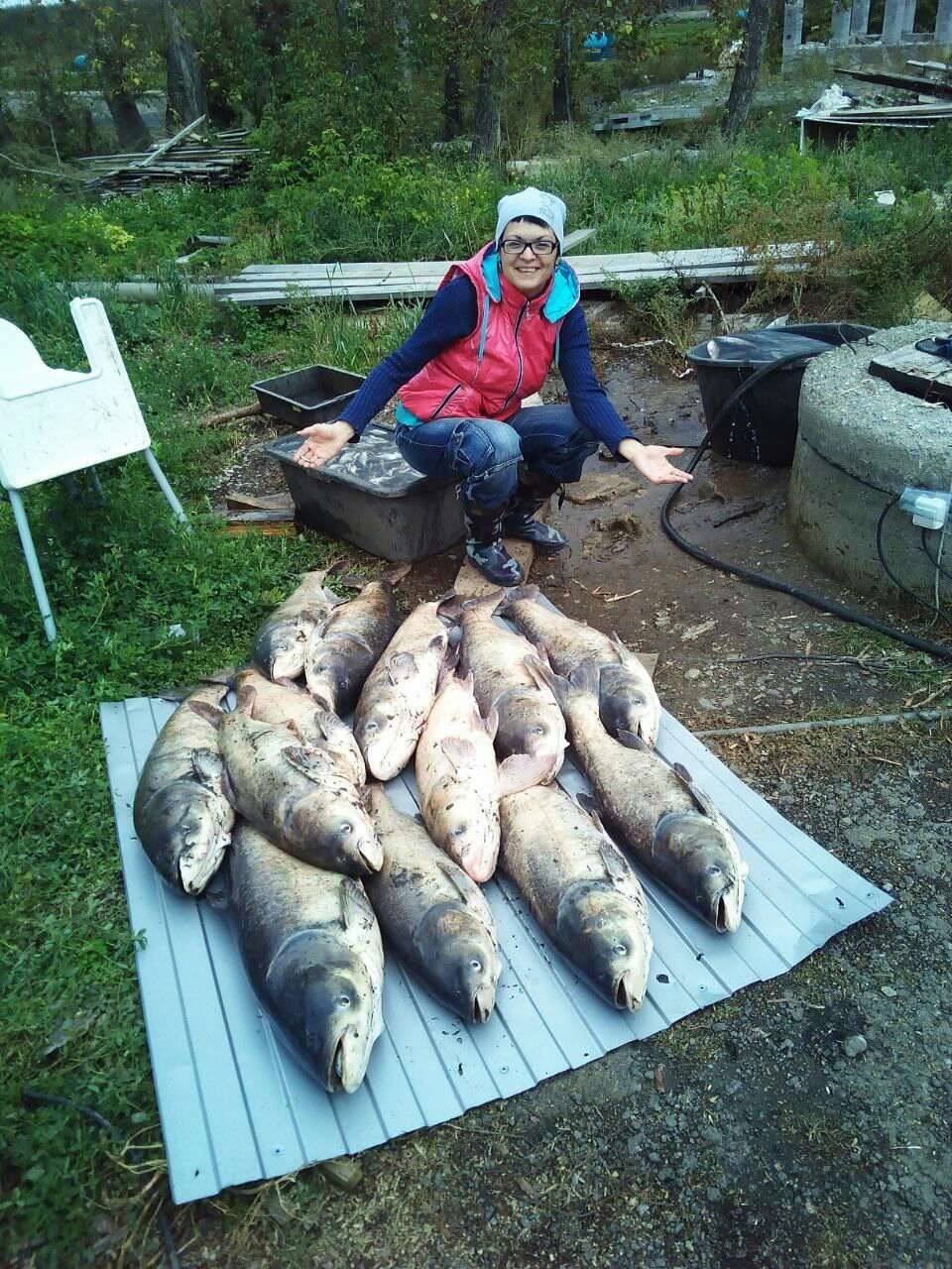 Куда поехать на рыбалку в челябинской области и запрет 2019
