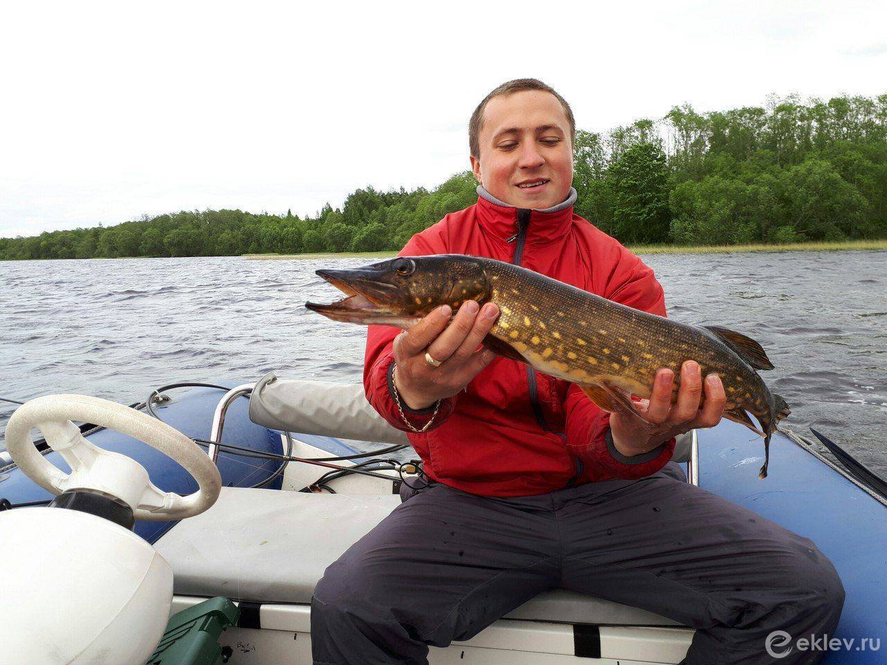 Псковско-чудское озеро - читайте на сatcher.fish