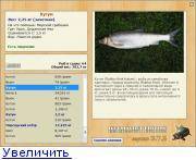 Ряпушка рыба: описание, места обитания, снасти, техника ловли