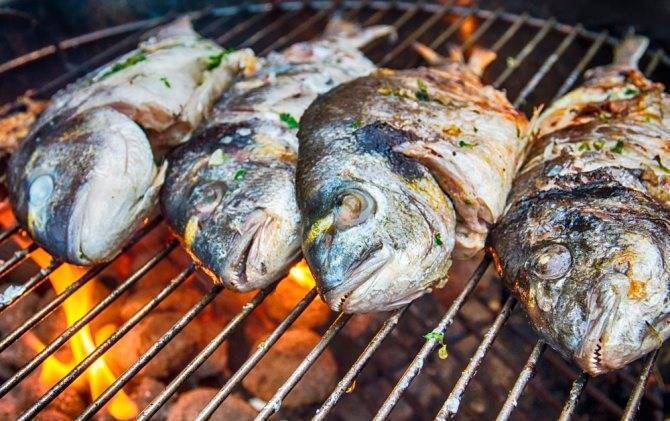 Маринад для рыбы на мангале, рецепты для рыбного шашлыка на решетке