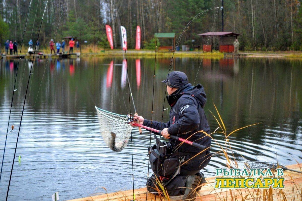 Рыбалка в ленинградской области. отчеты с ленобласти, форум