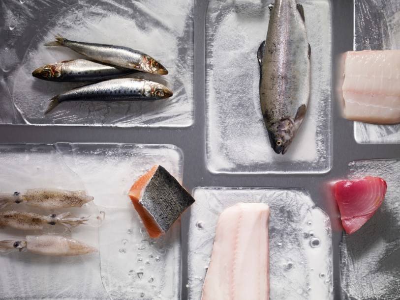 Как правильно приготовить замороженную рыбу на сковороде, в духовке: советы, пошаговый рецепт. нужно ли размораживать замороженную рыбу перед приготовлением?