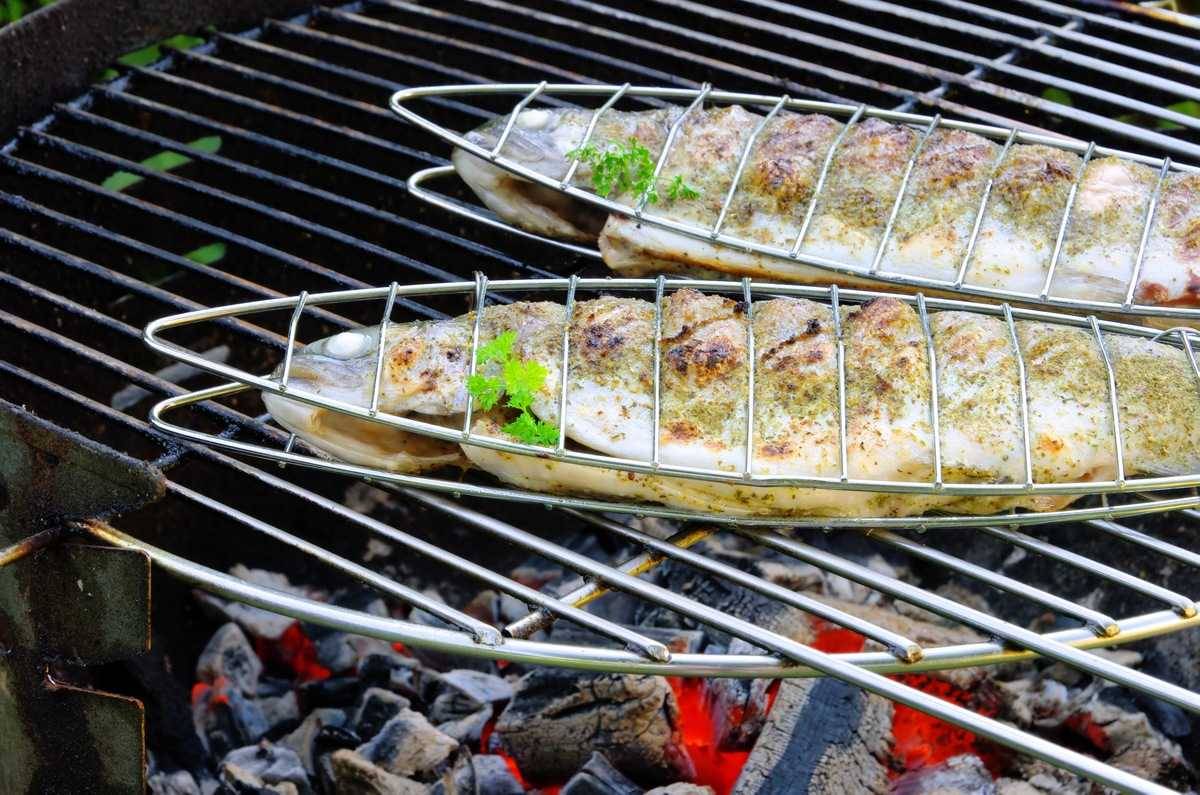 Форель на гриле – лучшие рецепты маринада, приготовление рыбы на сковороде, микроволновке и на костре