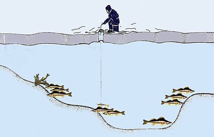 Рыбалка на черном море
