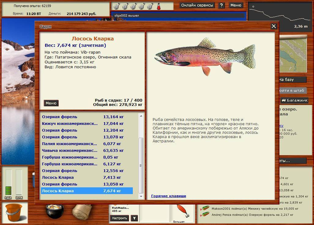Рыба семга – где водится в россии salmo salar и форель, нерест, как ловить