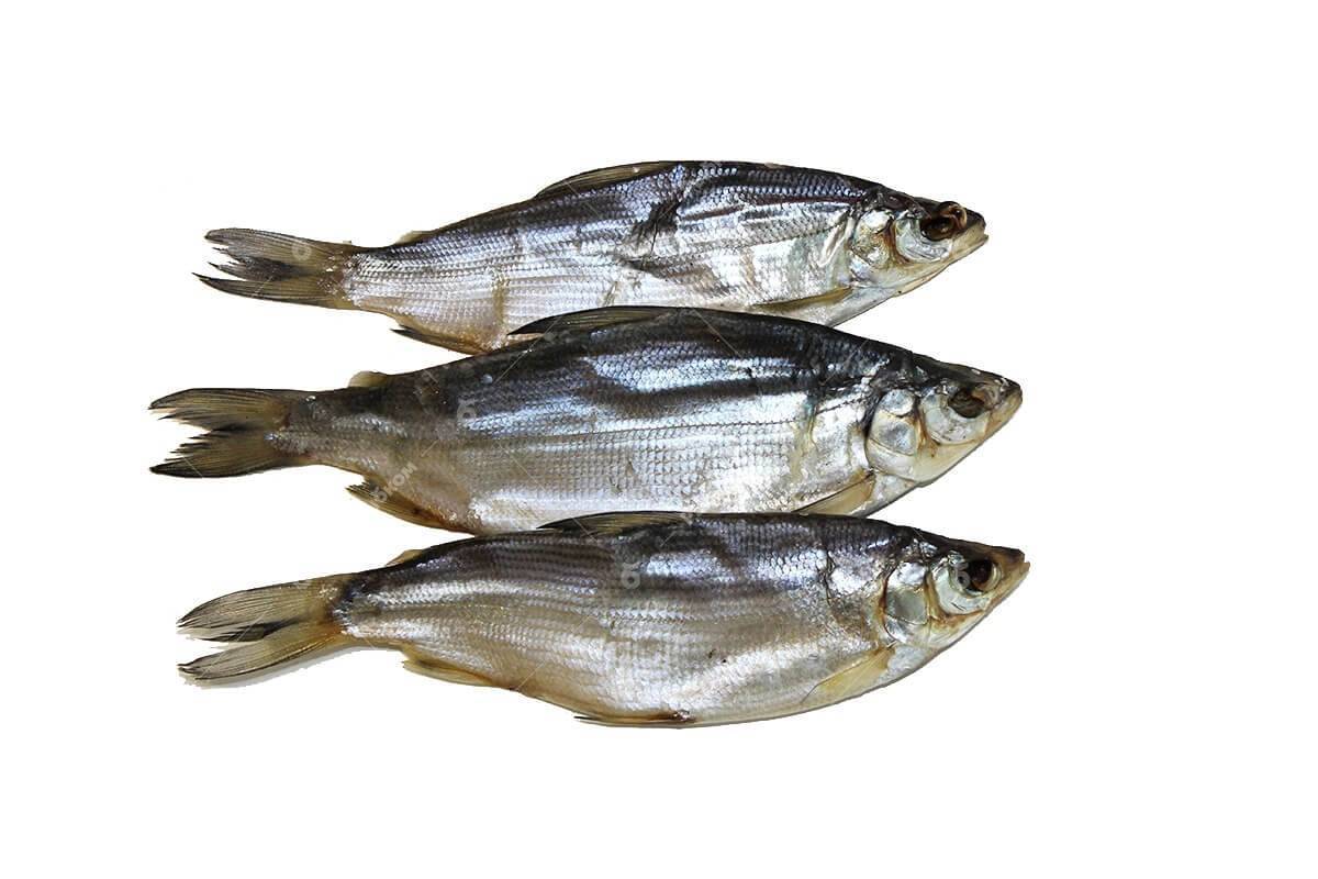 Рыба пелядь: как понять описторхозная она или нет