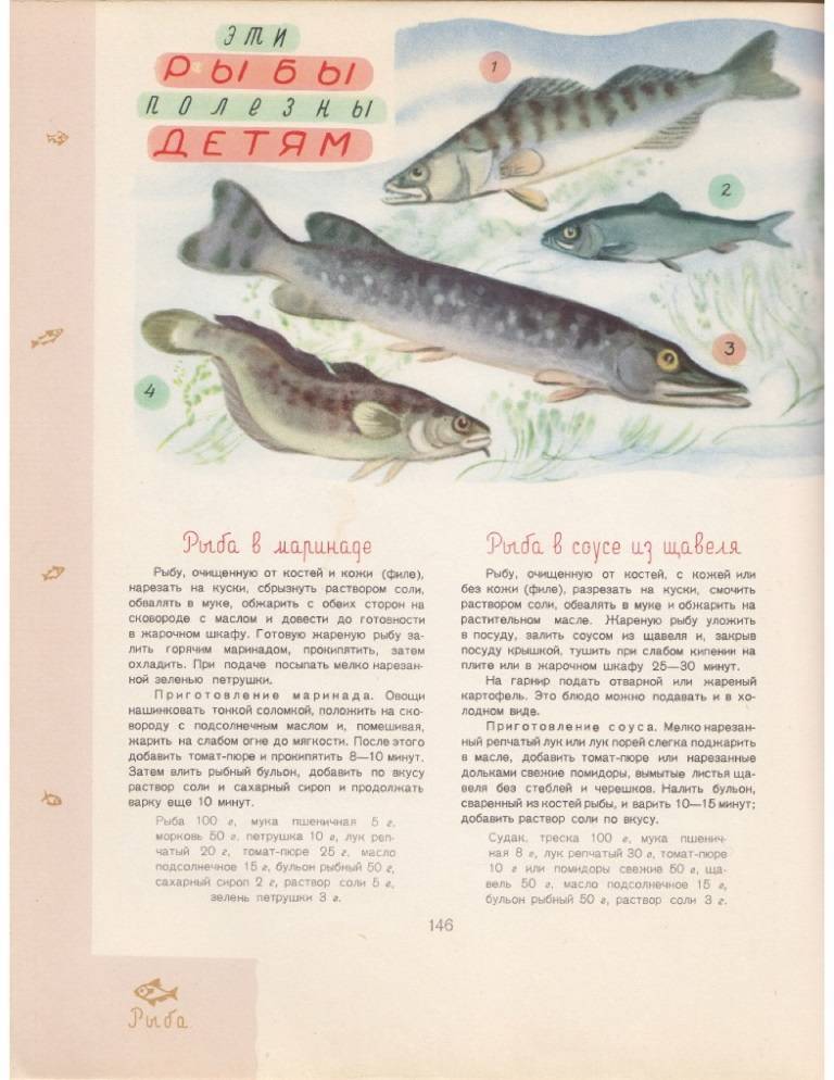 Как правильно прикармливать рыбу: тактика, состав корма и правила его подачи в зону ловли